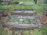 image of grave number 541046